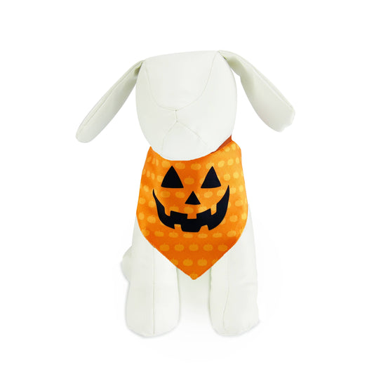 Pumpkin - Pet Bandana - Leashes, Collars & Petwear - White Helen